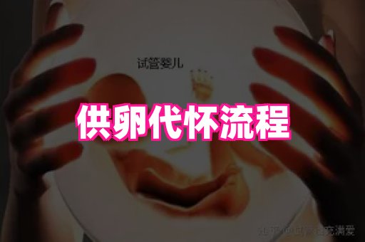 821孕网 2