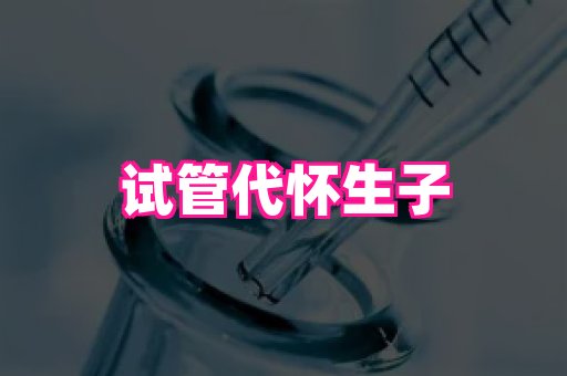 821孕网 3