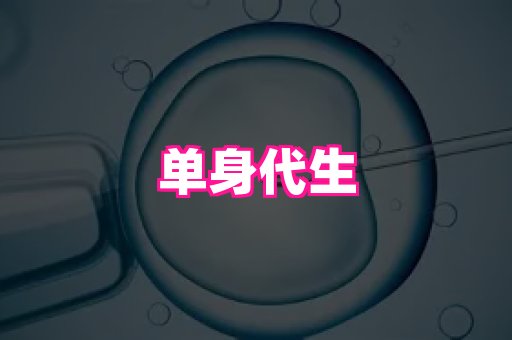 821孕网 4